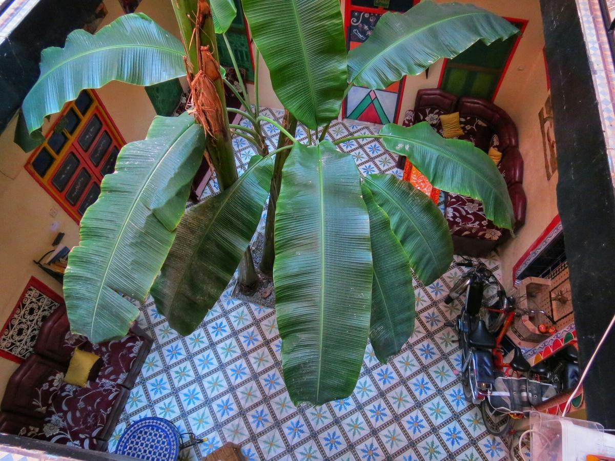 Riad Espagne Маракеш Екстериор снимка